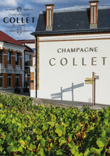 Carica l&#39;immagine nel visualizzatore di Gallery, Champagne Collet
